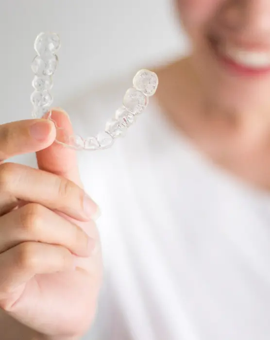 Mortillaro Alineatori Trasparenti